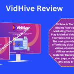 Vidhive Review